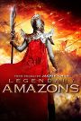 Legendary Amazons (2011) ศึกทะลุฟ้า ตระกูลหยาง