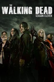 The Walking Dead Season 11 (2021) ล่าสยอง ทัพผีดิบ 11