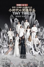 Tiny Times 4 (2015)